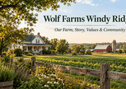 Wolf Farms Windy Ridge farm landscape in Byron Center Michigan